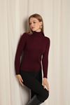 Knitwear Fabric Turtleneck Women's Plum Blouse